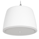 RCF PMR 60T Two-Way Pendant Monitor Speaker