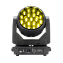 Focus Flex L19