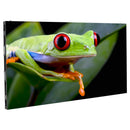 ADJ WMS2, 2.6mm Pixel Pitch Wall Mount Video Wall, 1 Meter x 1/2 Meter