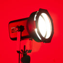 Eliminator PAR38EL, Par 38 EL Flood Black Can with 150 Watt Lamp