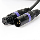 Accu-Cable AC3PDMX100, 100 ft 3-Pin DMX Cable