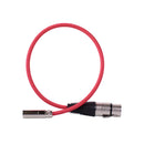 Blackhawk Mini XLR to XLR Cable, 16 inch, 3-Pin Mini-XLR Male to 3-Pin XLR Female Audio Cable, Connect Microphone or Mixer to Camera, Red