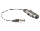 Anchor Audio 6000-XLR