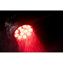 ADJ Encore LP12IP, IP65 Rated Quad Par with 4 in 1 RGBL LEDs, 12 x 20 Watt, Tunable White, High CRI, PowerCon True1 In/Out, IP Rated 5 Pin DMX, 10 Degree Beam Angle, Includes 25 Degree Lens Filter