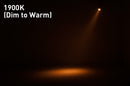 ADJ Saber Spot DTW, Fixture, 15 Watt Warm White LED 20 Degree Beam, Dim to Warm Effect