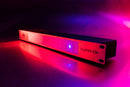 ADJ myDMX RM, 19 Inch Rack Mount, My DMX 3.0, Stand Alone Mode, Upload up to 16 Programs, Scenes, Shows, Cycles, 16 Trigger Playback Buttons
