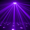 ADJ Aggressor Hex LED, HEX 6-in-1 LED Technology, 2 x 12 Watt LED Source