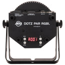 Dotz Par RGBL