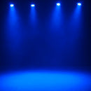 ADJ MOD STQ, Par, 7 x 8 Watt RGBW LEDs, 17 Degrees, Includes Three Frost Filters, 20,40, & 60 Degrees, 3&5 Pin, Powercon in and Out