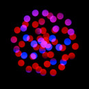 ADJ Focus CMY Compact, 400W LED Compact Beam/Spot/Wash Moving Head with Aria X2