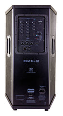 EXM Pofessional Battery-Powered PA Speaker with 12" Neo woofer, 6.5"/1" HF coaxial driver, onboard 3 channel mixer, Bluetooth, 1600w(peak)