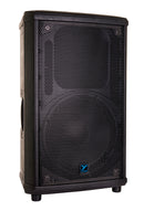 NX 12” Powered Loudspeaker 1000 watts - powered - 12” woofer & 80°x50° horn w/1” driver - 900/100 watts bi-amp built in mixer with microphone and line inputs, mixer bypass, link jacks and more.