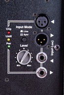 ParaSource 12" powered Subwoofer - w/fly points