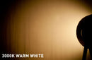 ADJ COB Cannon Wash DW
