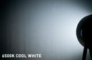 ADJ COB Cannon Wash DW