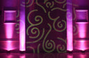 ADJ PinPoint Gobo Color