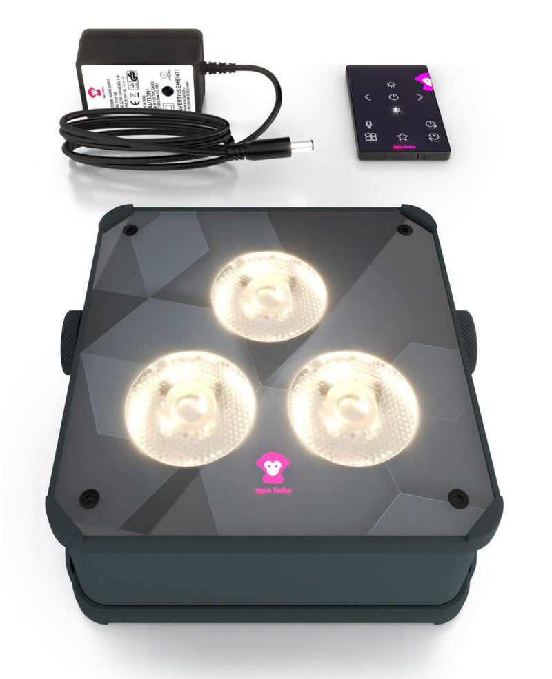APE LABS Maxi 2.0 IP | Set of 1