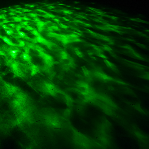 Eliminator Aqua LED