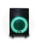 H&A TQ-LT0822 8 In PRO Rechargeable BT Speaker