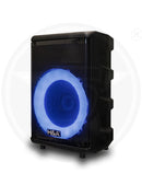 H&A TQ-LT0822 8 In PRO Rechargeable BT Speaker