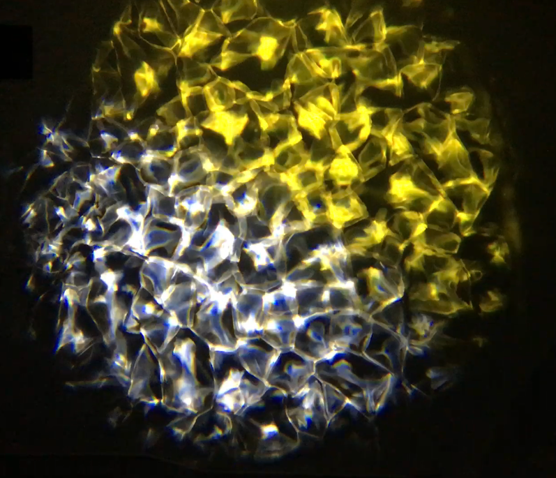 Eliminator Aqua LED