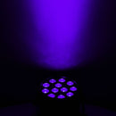 Eliminator Mini Par UV LED