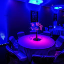 ADJ PinPoint Go Color